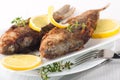 Raw European carp with a thyme and lemon Royalty Free Stock Photo