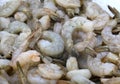 Raw farmed shrimp on ice at fish market Royalty Free Stock Photo