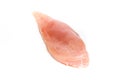 Raw fillet of chiken breast on a light background Royalty Free Stock Photo