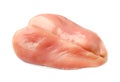 Raw fillet chiken breast
