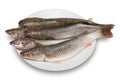 Raw fish Royalty Free Stock Photo