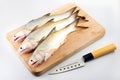 Raw Fish Royalty Free Stock Photo