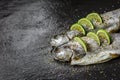 Raw fish with aromatic herbs, spices, salt and lime slices. Royalty Free Stock Photo