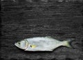 Raw fish (bluefish)