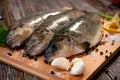 Raw fish (brown trout) Royalty Free Stock Photo