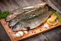 Raw fish (brown trout) Royalty Free Stock Photo