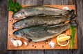 Raw fish (brown trout) Royalty Free Stock Photo