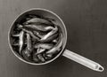 Raw fish capelin in the old aluminum colander on a gray background, top view