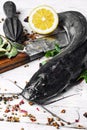 Raw fish catfish Royalty Free Stock Photo