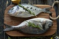 Raw fish cooking and ingredients. Dorado, lemon, herbs and spices.