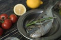 Raw fish cooking and ingredients. Dorado, lemon, herbs and spices.