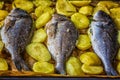 Raw fish Dorado with fresh potatoes ready to baking