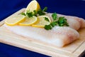 Raw fish fillet Royalty Free Stock Photo