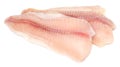 raw fish fillet Royalty Free Stock Photo