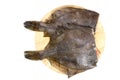 Raw fish flounder Royalty Free Stock Photo
