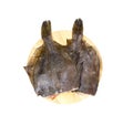 Raw fish flounder Royalty Free Stock Photo