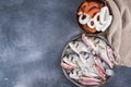 Raw fish on a gray stone background. Fresh food for dietetic food. Seafood for cooking dinner. Free space for text Royalty Free Stock Photo