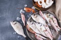 Raw fish on a gray stone background. Fresh food for dietetic food. Seafood for cooking dinner. Free space for text Royalty Free Stock Photo