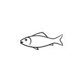 Raw fish hand drawn sketch icon.