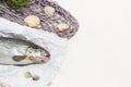 Raw fish head on white paper. Gray mesh Royalty Free Stock Photo