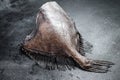 Raw fish John Dory. Black background. Top view. Copy space