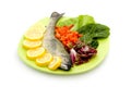 Raw fish meal Royalty Free Stock Photo