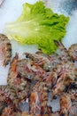 Raw Fish Meat Food Shrimp on Ice Royalty Free Stock Photo