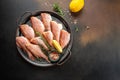 raw fish perch on a dark background. banner, menu, recipe place for text, top view Royalty Free Stock Photo
