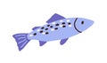 Raw fish with spots. Whole salmon, sea food. Fresh trout, seafood drawn in doodle style. Colored flat vector