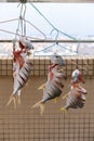 raw fishes being air dried on balcony vertical compositon