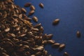 Many Raw Flax linseed macro close up, dark food portrait