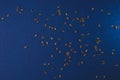 Raw Flax linseed on blue background