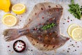 Raw flounder fish, flatfish Royalty Free Stock Photo