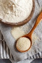 Raw fonio flour and seeds with a spoon on grey napkins Royalty Free Stock Photo