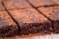 Raw food brownie with cocoa powder