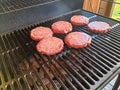 raw food,chop. hamburgers grilling on charcoal grill.Juicy beef hamburger patties sizzling over hot flames on the Royalty Free Stock Photo