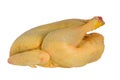 Raw free range organic chicken