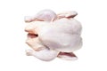 Raw free range whole chicken Isolated on white background, top view. Royalty Free Stock Photo