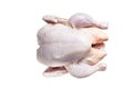 Raw free range whole chicken on a kitchen table. Isolated on white background. Royalty Free Stock Photo