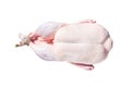 Raw free range whole duck. Isolated, white background. Royalty Free Stock Photo