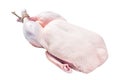 Raw free range whole duck. Isolated, white background. Royalty Free Stock Photo