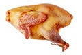 Raw free-range whole turkey, top view Royalty Free Stock Photo