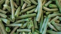 Raw french beans known also as haricot vert, cleaned and cut in short segments