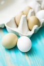 Raw fresh araucana chicken eggs Royalty Free Stock Photo