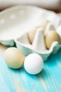 Raw fresh araucana chicken eggs Royalty Free Stock Photo