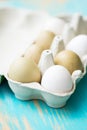 Raw fresh araucana chicken eggs Royalty Free Stock Photo