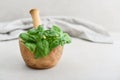 Raw fresh basil twigs in an olive wood mortar Royalty Free Stock Photo