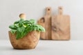 Raw fresh basil twigs in an olive wood mortar Royalty Free Stock Photo