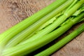 Raw fresh celery Royalty Free Stock Photo