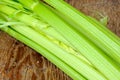 Raw fresh celery Royalty Free Stock Photo